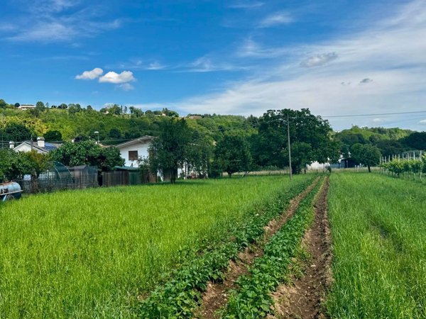 terreno agricolo in vendita a Montebelluna