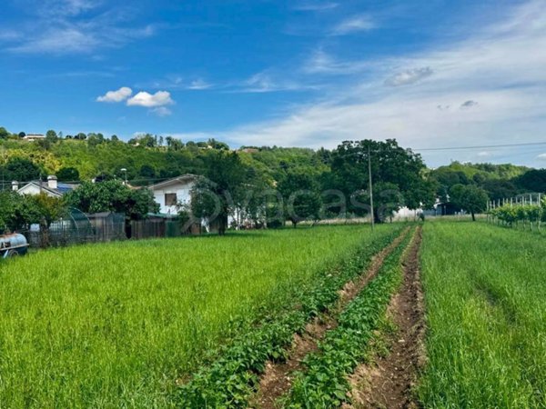 terreno agricolo in vendita a Montebelluna