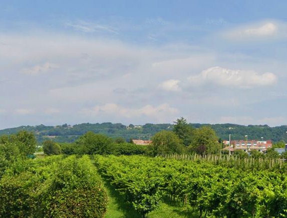 terreno agricolo in vendita a Montebelluna in zona Rive