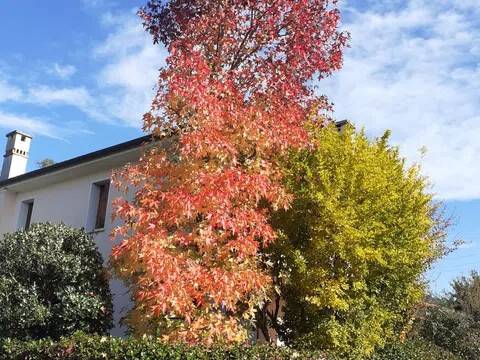 casa indipendente in vendita a Montebelluna in zona Biadene