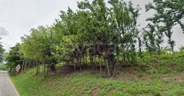 terreno agricolo in vendita a Montebelluna in zona Mercato Vecchio