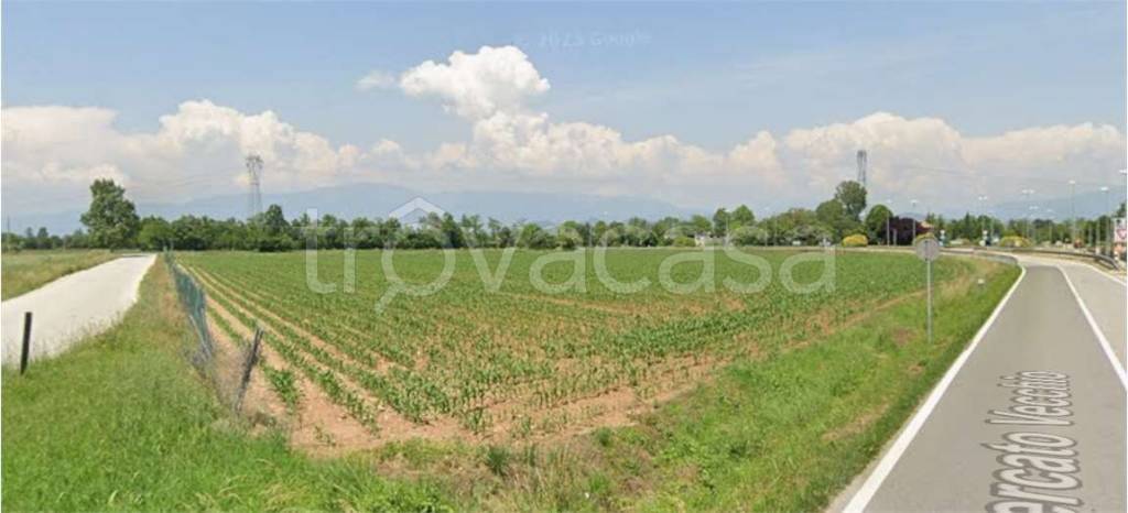 terreno agricolo in vendita a Montebelluna in zona Busta