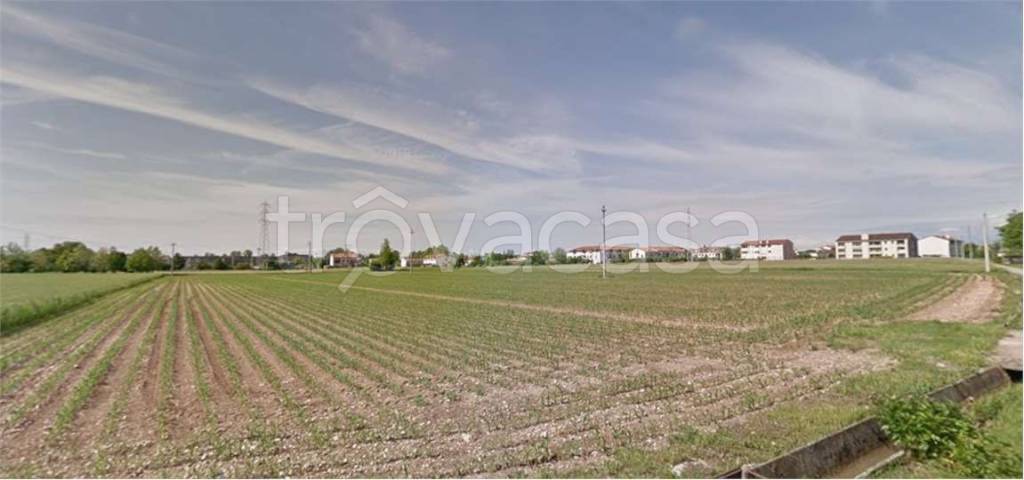 terreno agricolo in vendita a Montebelluna in zona Busta