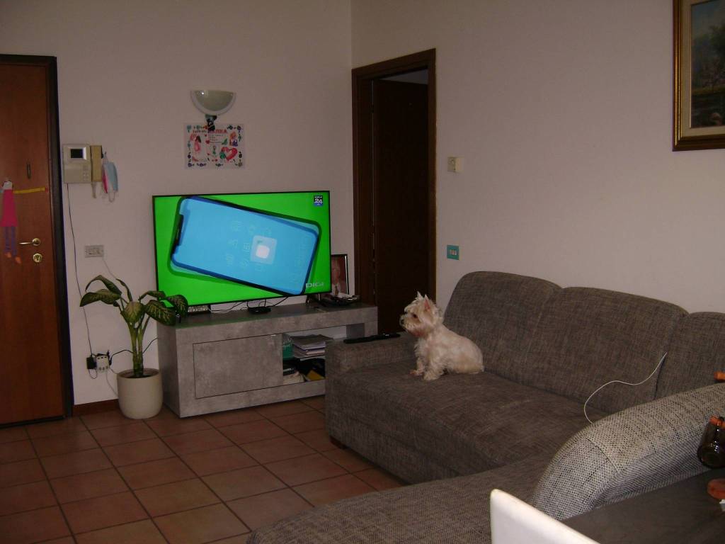 appartamento in vendita a Montebelluna