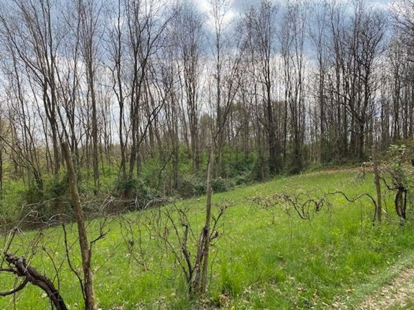 terreno in vendita a Montebelluna