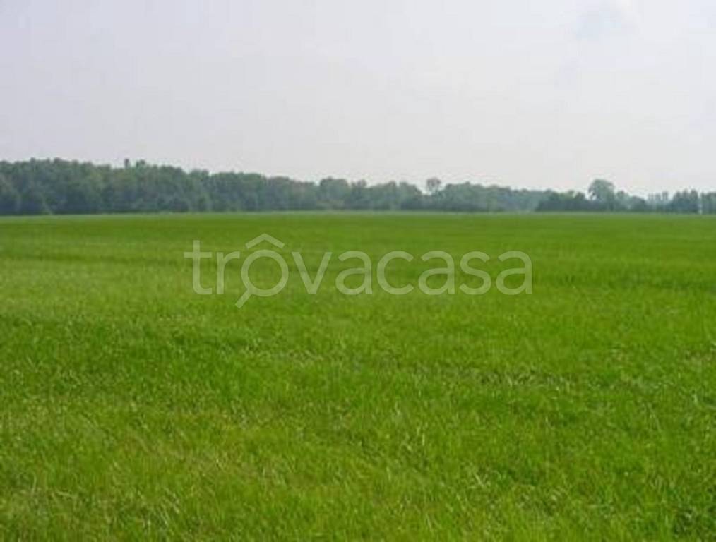 terreno in vendita a Montebelluna in zona La Pieve