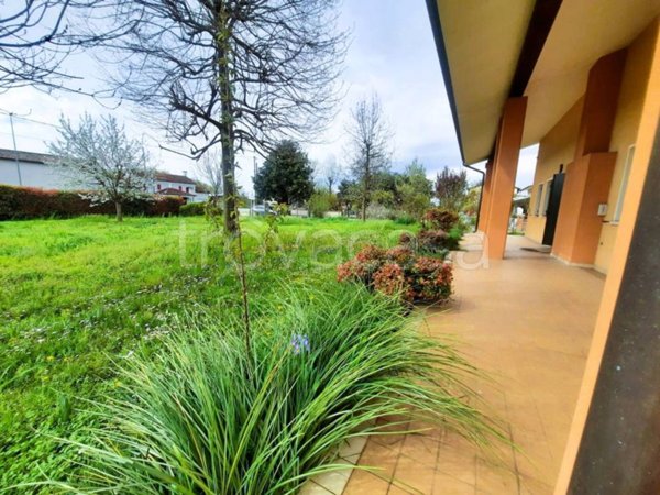 casa indipendente in vendita a Morgano