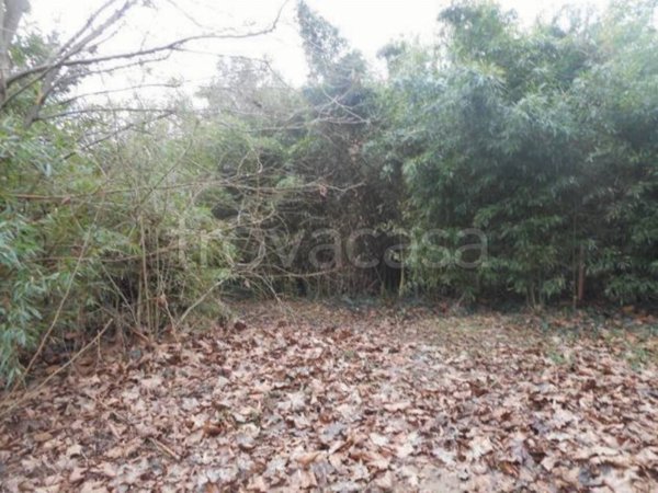 casa indipendente in vendita a Morgano