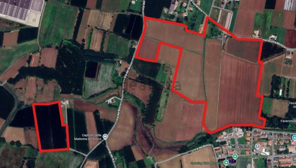 terreno agricolo in vendita a Morgano