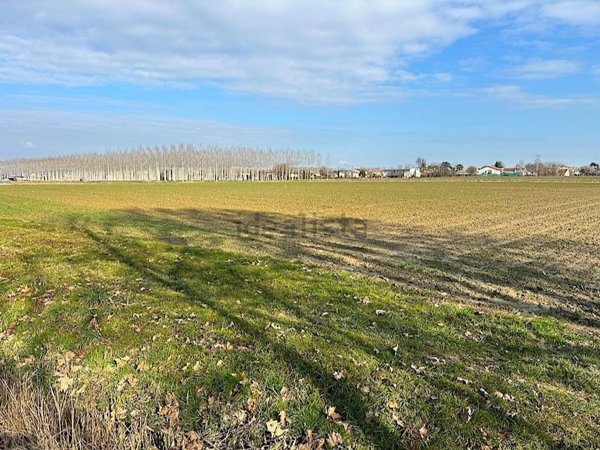 terreno agricolo in vendita a Morgano in zona Badoere