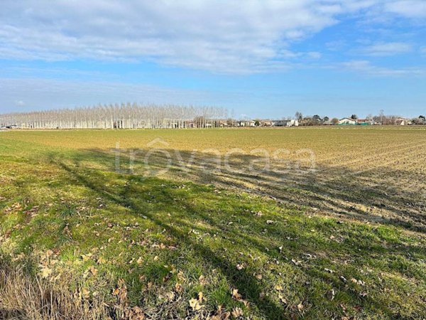 terreno agricolo in vendita a Morgano in zona Badoere