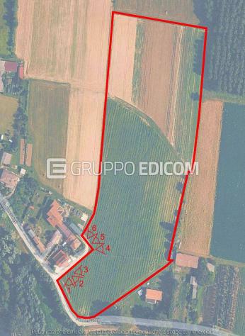 terreno agricolo in vendita a Morgano