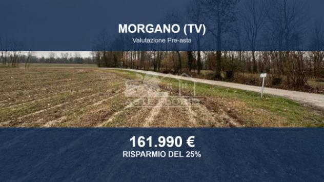 terreno agricolo in vendita a Morgano