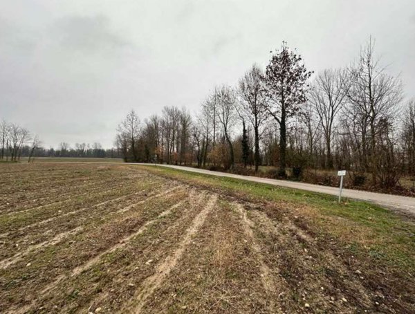 terreno agricolo in vendita a Morgano