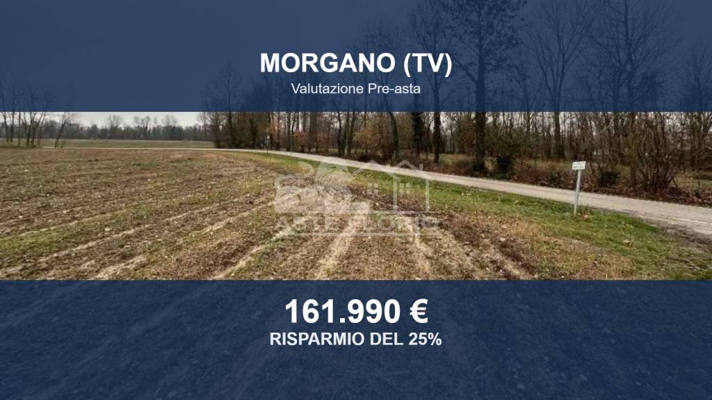 terreno agricolo in vendita a Morgano