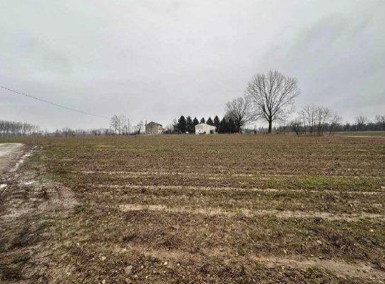 terreno agricolo in vendita a Morgano in zona Badoere
