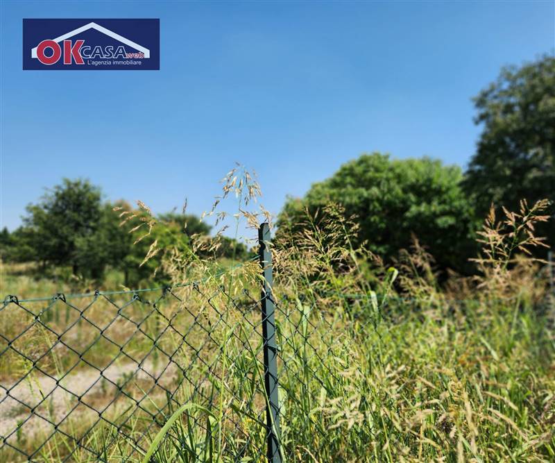 terreno agricolo in vendita a Motta di Livenza in zona San Giovanni