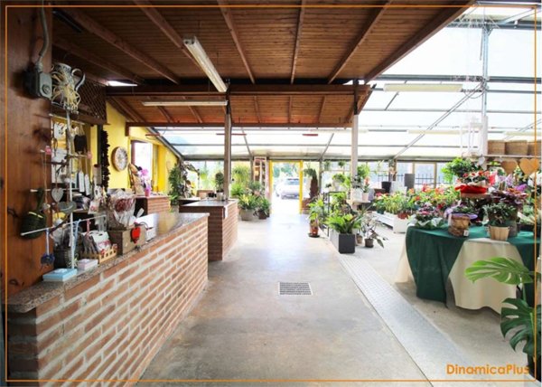 negozio in vendita a Motta di Livenza