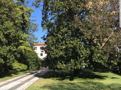 casa indipendente in vendita a Motta di Livenza