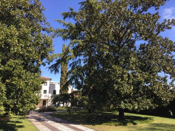 casa indipendente in vendita a Motta di Livenza in zona San Giovanni