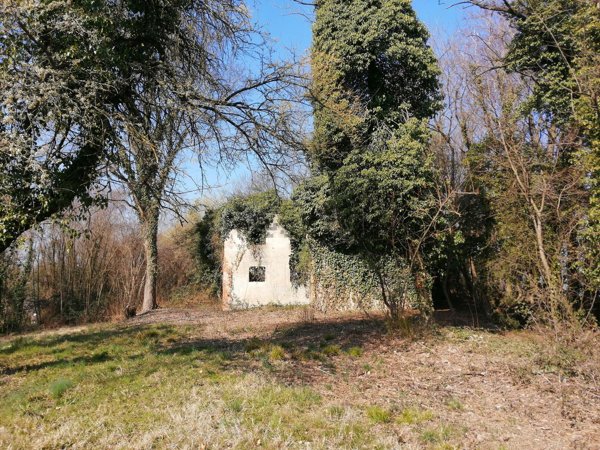 pentavano in vendita a Nervesa della Battaglia
