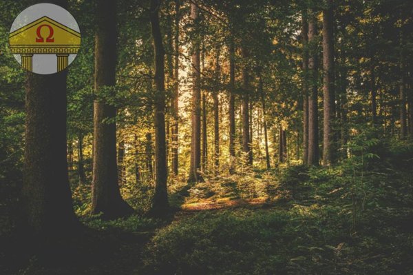 casa indipendente in vendita a Nervesa della Battaglia