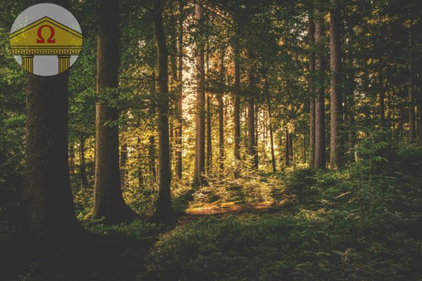 casa indipendente in vendita a Nervesa della Battaglia