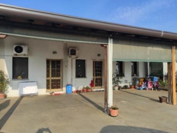 immagine annuncio 0 di 1