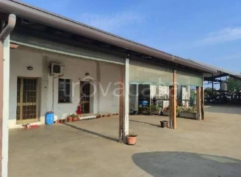 appartamento in vendita a Nervesa della Battaglia