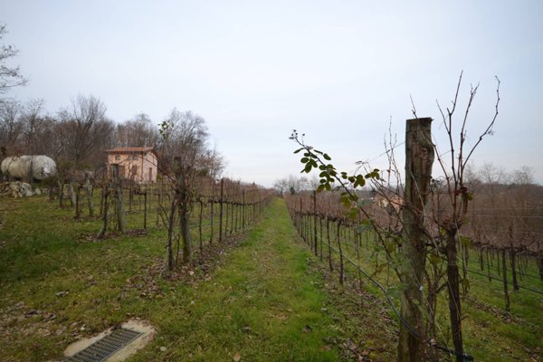 terreno agricolo in vendita a Nervesa della Battaglia in zona Bavaria