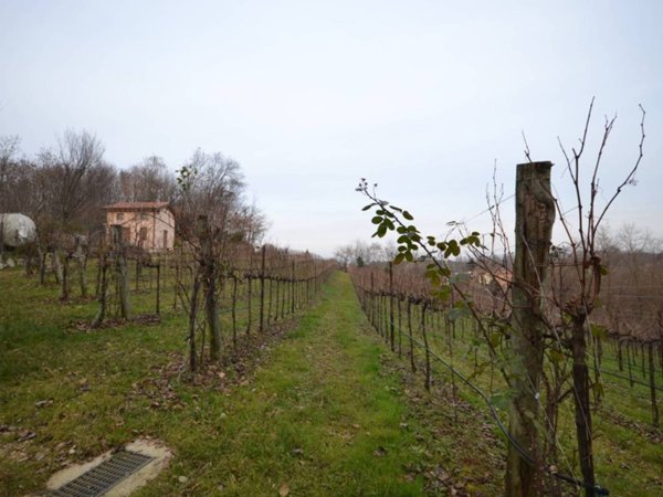 terreno agricolo in vendita a Nervesa della Battaglia in zona Frati
