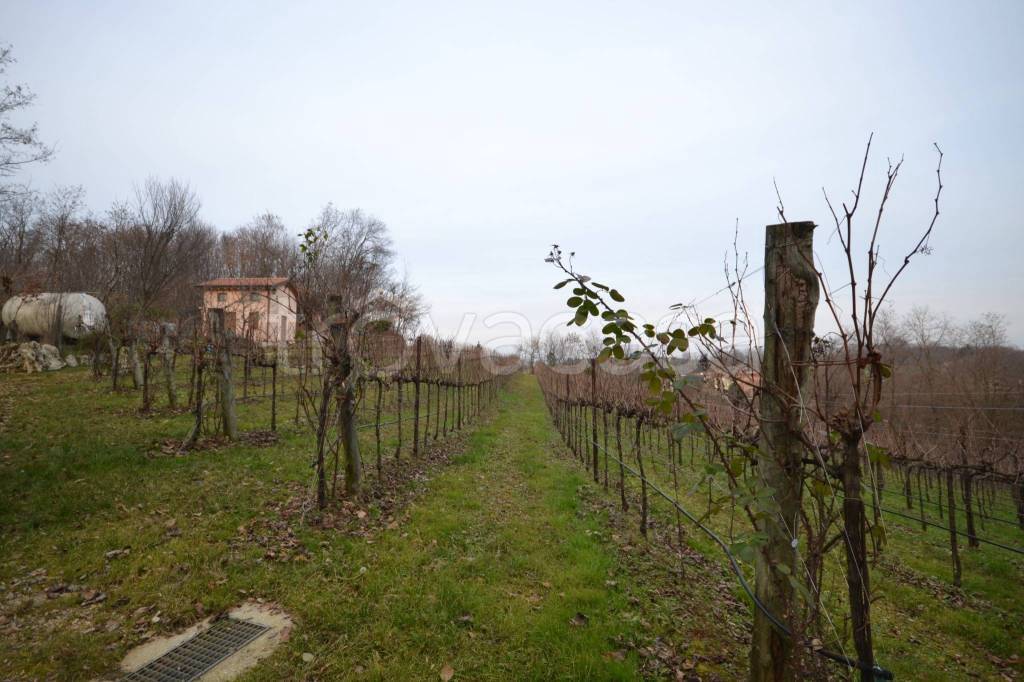 terreno agricolo in vendita a Nervesa della Battaglia in zona Frati