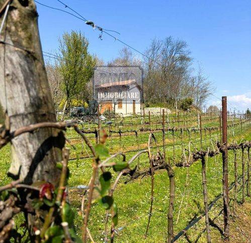 negozio in vendita a Nervesa della Battaglia