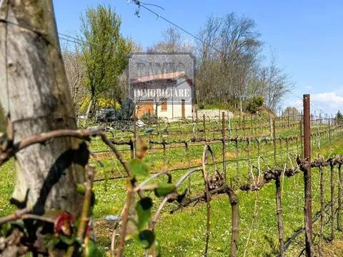 negozio in vendita a Nervesa della Battaglia