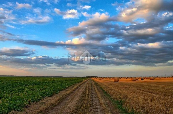 terreno edificabile in vendita a Nervesa della Battaglia in zona Bavaria