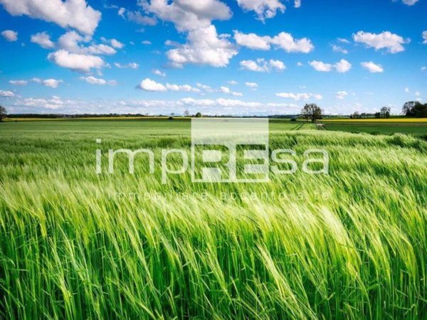casa indipendente in vendita ad Oderzo