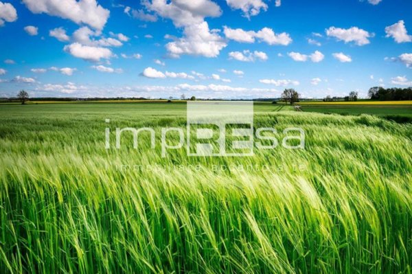 casa indipendente in vendita ad Oderzo