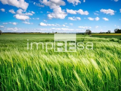 casa indipendente in vendita ad Oderzo