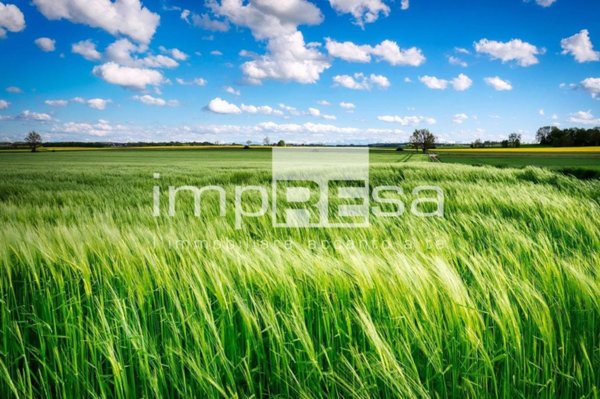 casa indipendente in vendita ad Oderzo