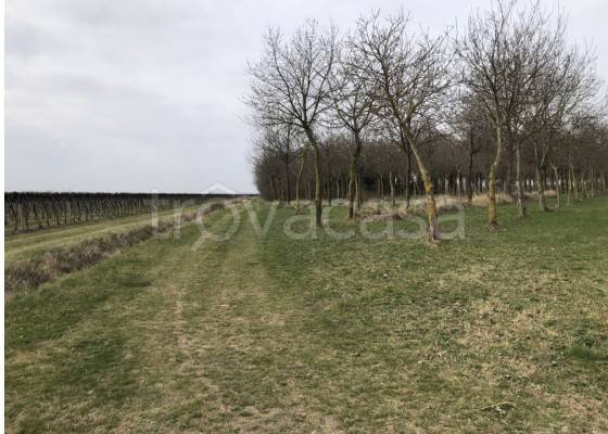 casale in vendita ad Oderzo