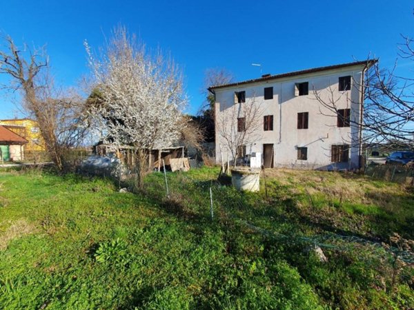 esavano in vendita ad Oderzo in zona Rustignè