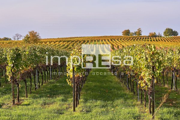 terreno agricolo in vendita ad Ormelle