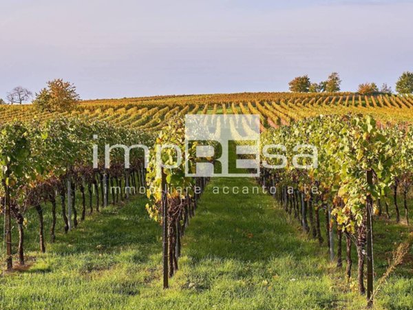 terreno agricolo in vendita ad Ormelle