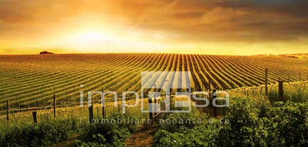 terreno agricolo in vendita ad Ormelle in zona Tempio