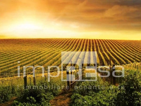 terreno agricolo in vendita ad Ormelle in zona Tempio
