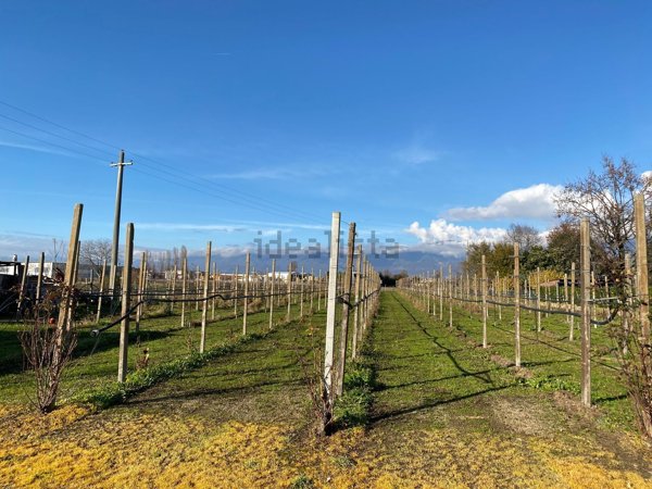 terreno agricolo in vendita ad Orsago