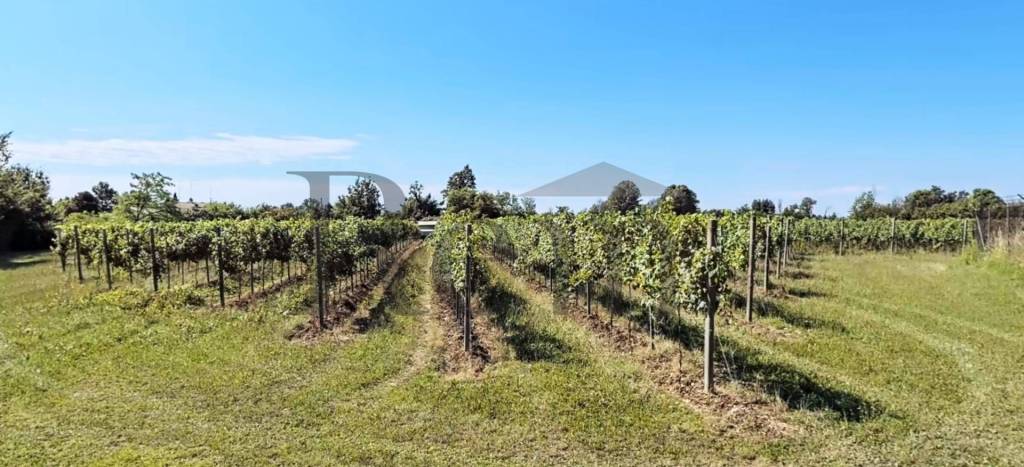 terreno agricolo in vendita ad Orsago