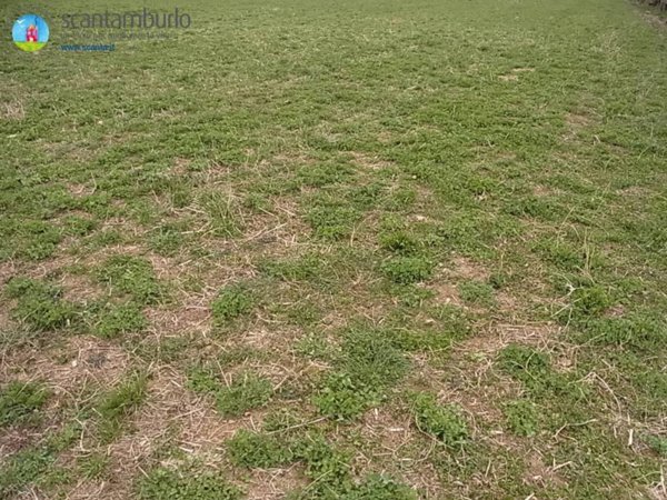 terreno agricolo in vendita a Paese