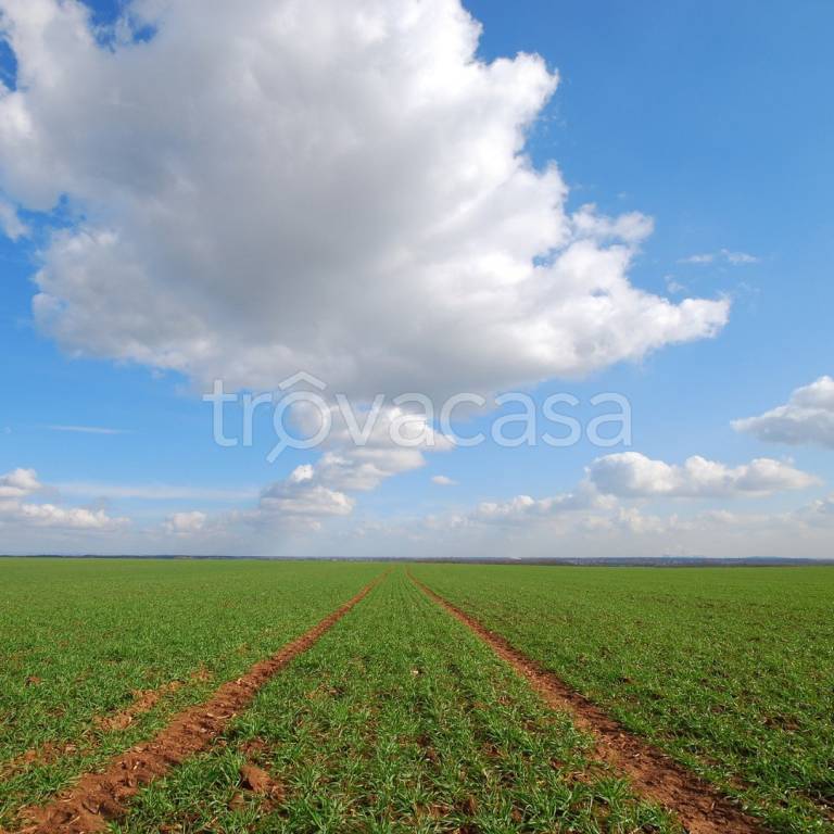 terreno agricolo in vendita a Paese
