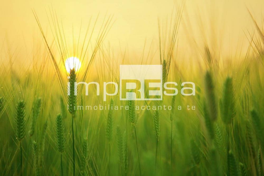 terreno agricolo in vendita a Paese in zona Porcellengo